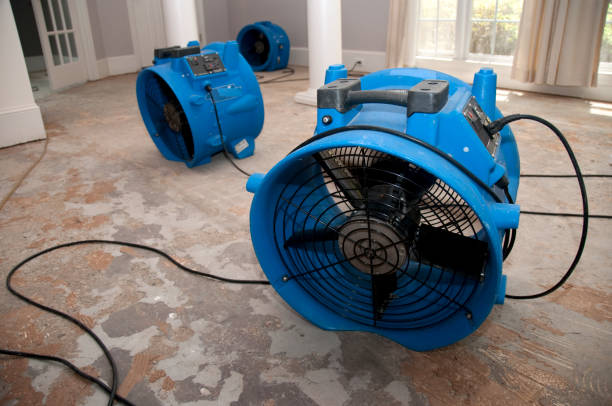 Best Commercial water damage restoration  in Lochbuie, CO