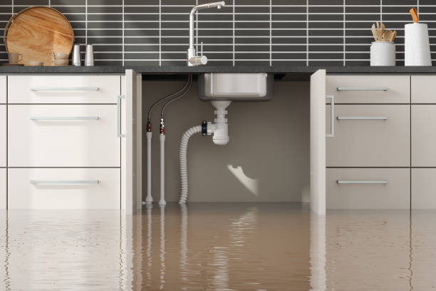 Best Commercial water damage restoration  in Lochbuie, CO