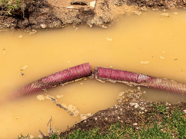  Lochbuie, CO Water damage restoration Pros